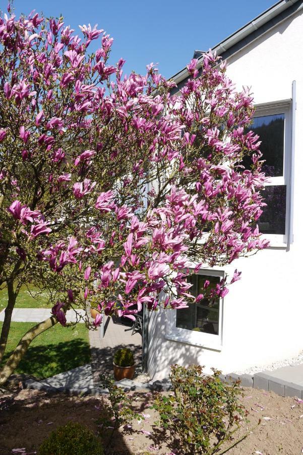 Ferienwohnung "Magnolia" Kordel Eksteriør billede